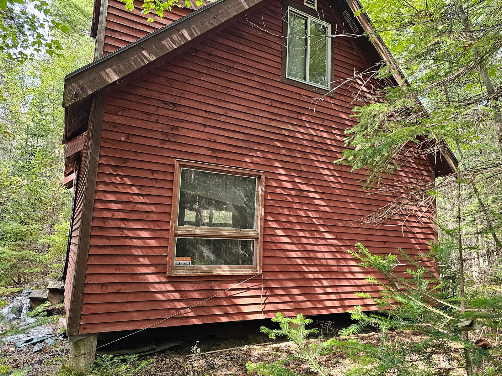 Large Wooded Lot with Camp - image 3