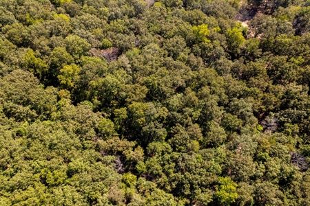Beautiful Ozarks Acreage In Gamaliel Ar - image 15