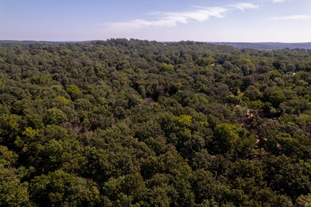 Beautiful Ozarks Acreage In Gamaliel Ar - image 16