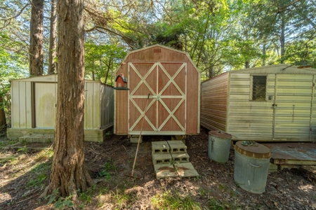 Beautiful Ozarks Acreage In Gamaliel Ar - image 4