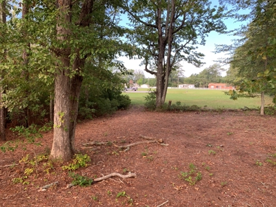 Land for Sale in Beaufort County, North Carolina - image 8