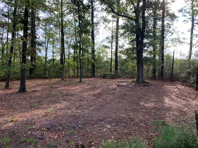 Land for Sale in Beaufort County, North Carolina - image 7