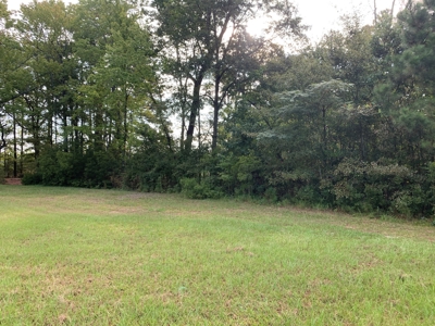 Land for Sale in Beaufort County, North Carolina - image 6