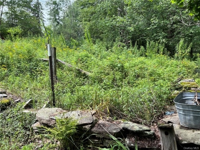 Single Family Home and Acreage For Sale, Sullivan County, NY - image 22