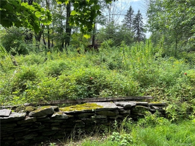 Single Family Home and Acreage For Sale, Sullivan County, NY - image 21