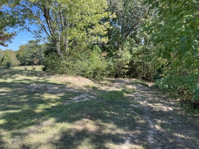 Land For Sale With Creek - image 24