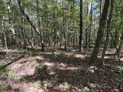 Land For Sale With Creek - image 10