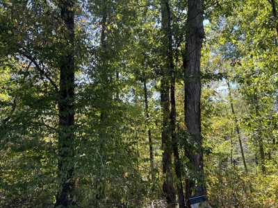 Land For Sale With Creek - image 9