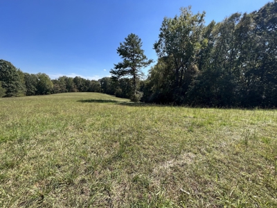 Land For Sale With Creek - image 6