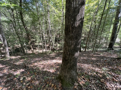 Land For Sale With Creek - image 12