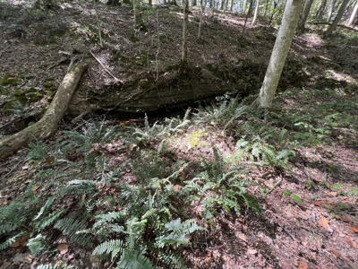 Land For Sale With Creek - image 17