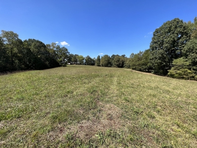 Land For Sale With Creek - image 7