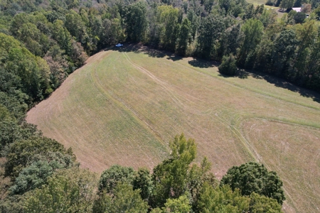 Land For Sale With Creek - image 30