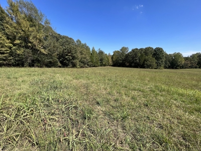 Land For Sale With Creek - image 5