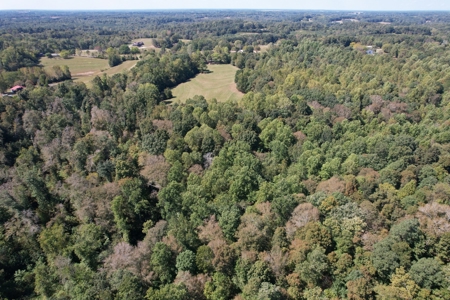 Land For Sale With Creek - image 29