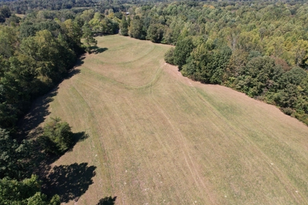 Land For Sale With Creek - image 4