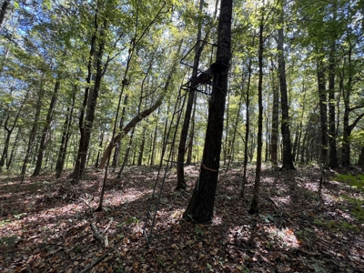 Land For Sale With Creek - image 22