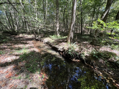 Land For Sale With Creek - image 13