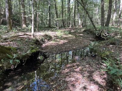 Land For Sale With Creek - image 15