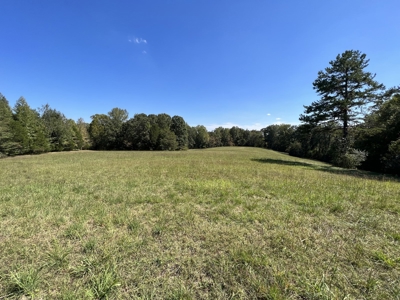 Land For Sale With Creek - image 1