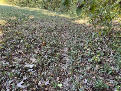 Land For Sale With Creek - image 23
