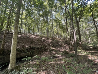 Land For Sale With Creek - image 18