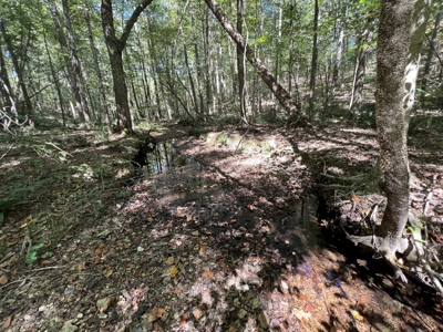 Land For Sale With Creek - image 14