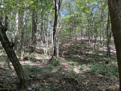 Land For Sale With Creek - image 16