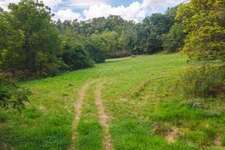 Offering #1 - Riverfront Land for Sale at Auction in Riner - image 4