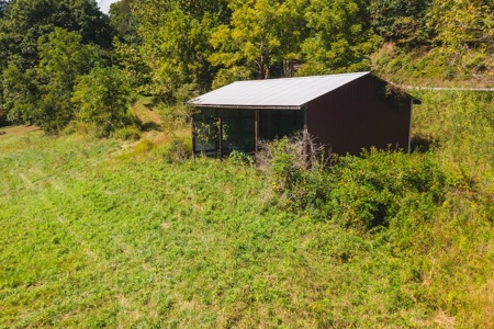 Offering #1 - Riverfront Land for Sale at Auction in Riner - image 10