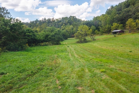 Offering #1 - Riverfront Land for Sale at Auction in Riner - image 3