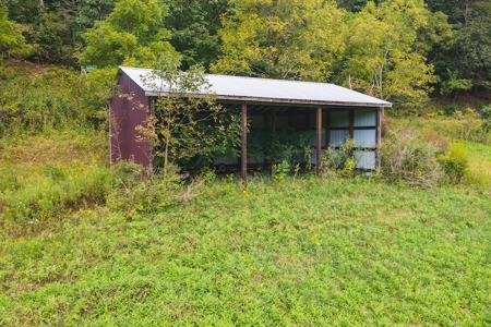 Offering #1 - Riverfront Land for Sale at Auction in Riner - image 5