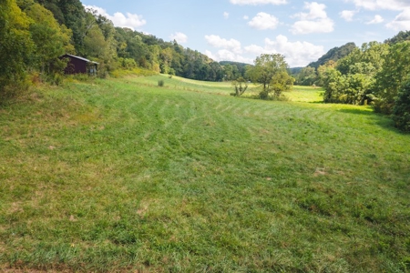 Offering #1 - Riverfront Land for Sale at Auction in Riner - image 8