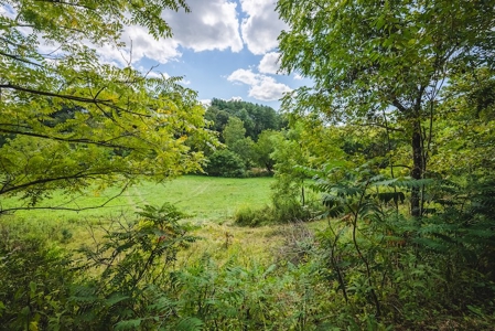 Offering #1 - Riverfront Land for Sale at Auction in Riner - image 14