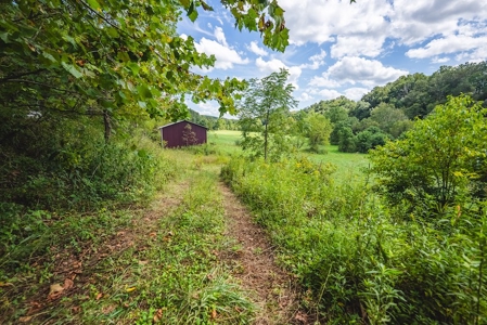 Offering #1 - Riverfront Land for Sale at Auction in Riner - image 15