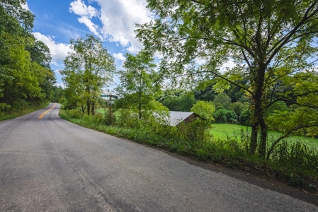 Offering #1 - Riverfront Land for Sale at Auction in Riner - image 13