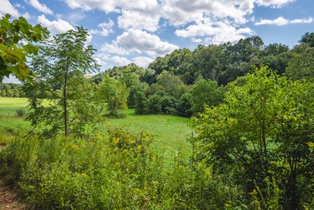 Offering #1 - Riverfront Land for Sale at Auction in Riner - image 16