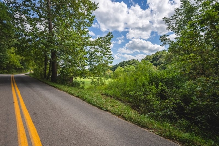 Offering #1 - Riverfront Land for Sale at Auction in Riner - image 17