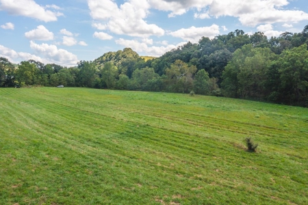 Offering #2 - Land for Sale on the Little River in Riner VA - image 11
