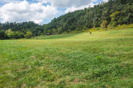 Offering #2 - Land for Sale on the Little River in Riner VA - image 8