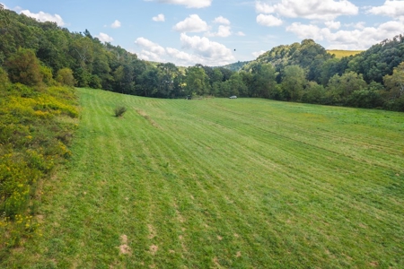 Offering #2 - Land for Sale on the Little River in Riner VA - image 10