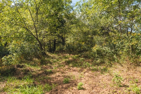 Offering #2 - Land for Sale on the Little River in Riner VA - image 2
