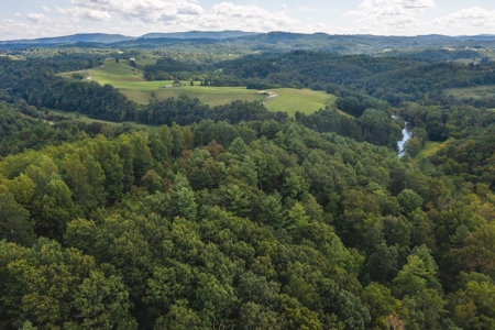 Offering #3 - Wooded Recreational Land for Sale in Riner VA - image 8