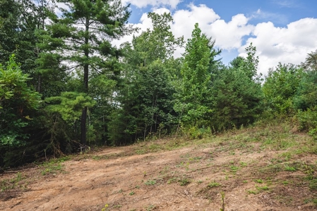 Offering #3 - Wooded Recreational Land for Sale in Riner VA - image 15