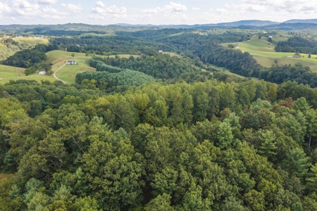 Offering #3 - Wooded Recreational Land for Sale in Riner VA - image 9