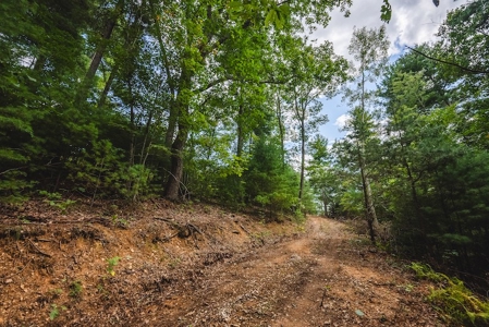 Offering #3 - Wooded Recreational Land for Sale in Riner VA - image 24