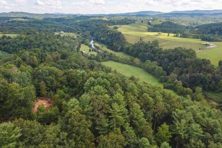 Offering #3 - Wooded Recreational Land for Sale in Riner VA - image 10