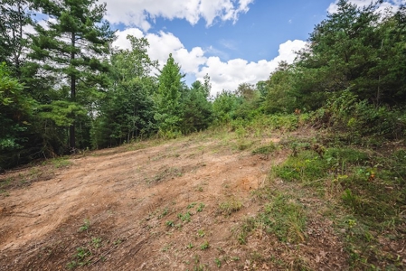 Offering #3 - Wooded Recreational Land for Sale in Riner VA - image 16