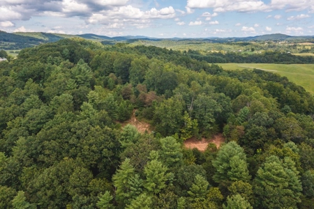 Offering #3 - Wooded Recreational Land for Sale in Riner VA - image 6
