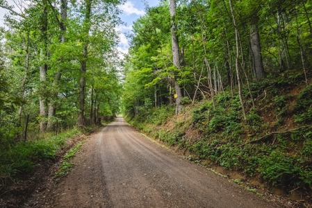 Offering #3 - Wooded Recreational Land for Sale in Riner VA - image 30